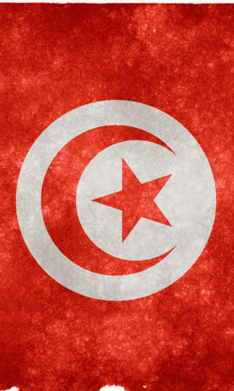 Fondo de pantalla Tunisia Flag 480x800