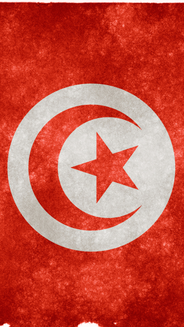 Fondo de pantalla Tunisia Flag 640x1136