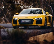 Audi R8 V10 Plus Yellow Body Color wallpaper 176x144