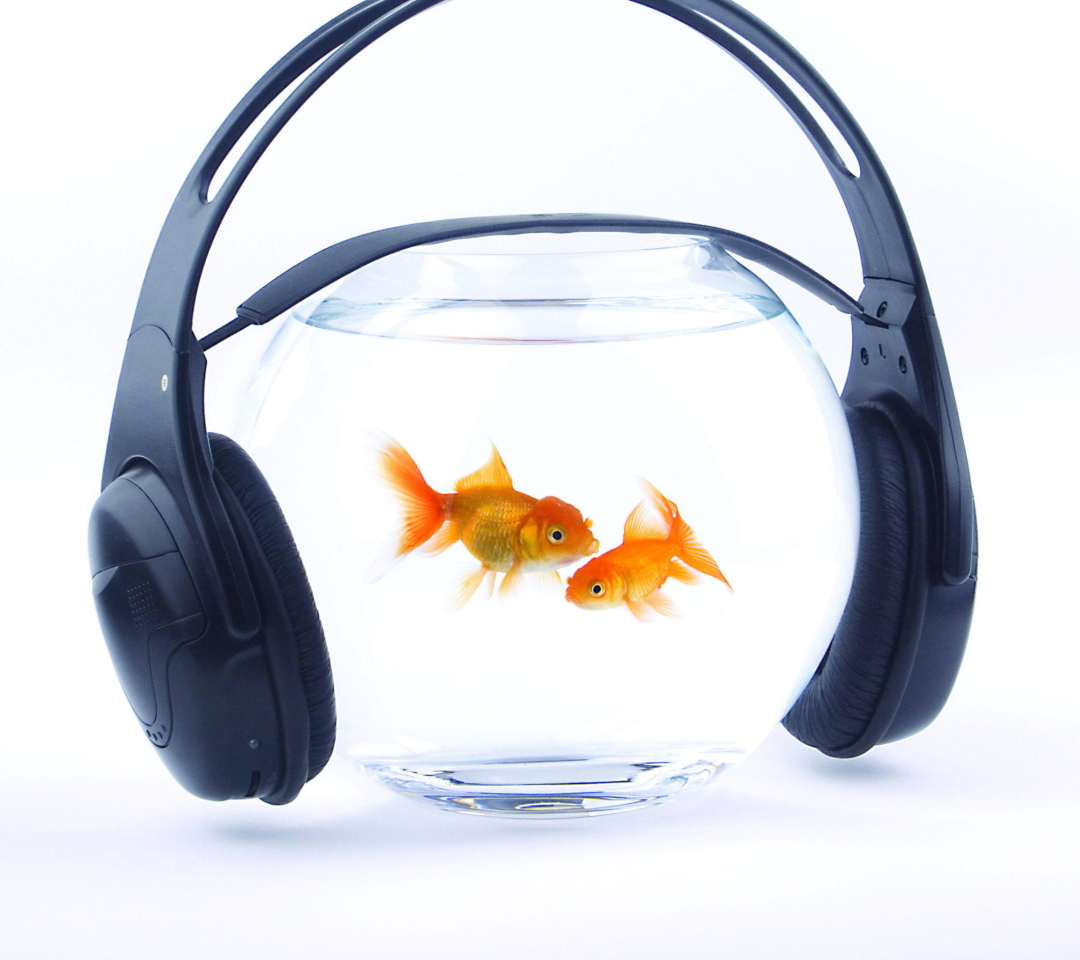 Das Fish Music Wallpaper 1080x960