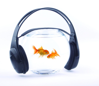 Fish Music sfondi gratuiti per 1024x1024