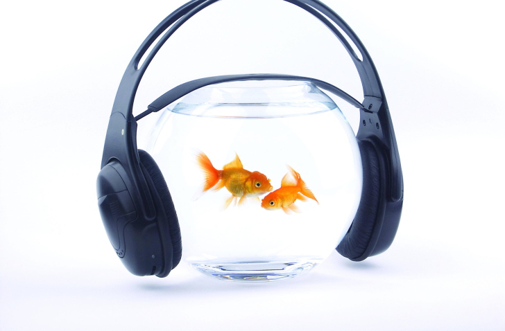 Fish Music wallpaper