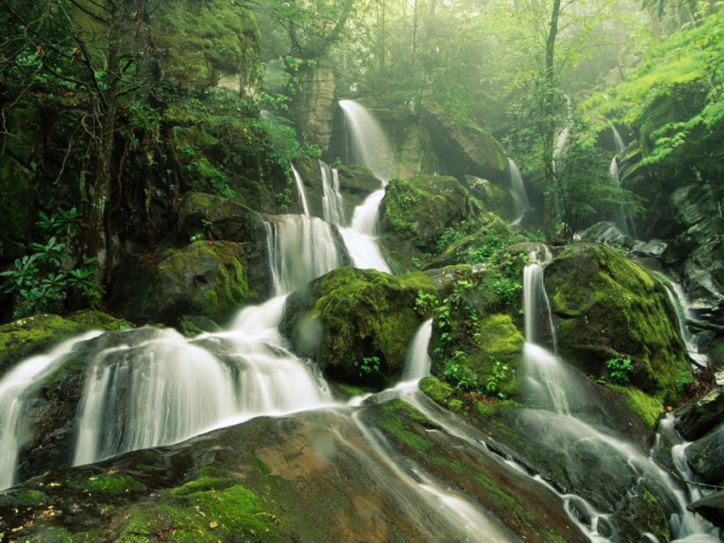 Обои Tropical Forest Waterfall 1024x768