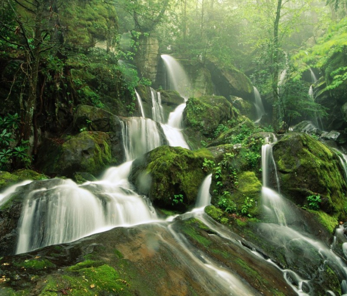 Tropical Forest Waterfall screenshot #1 1200x1024