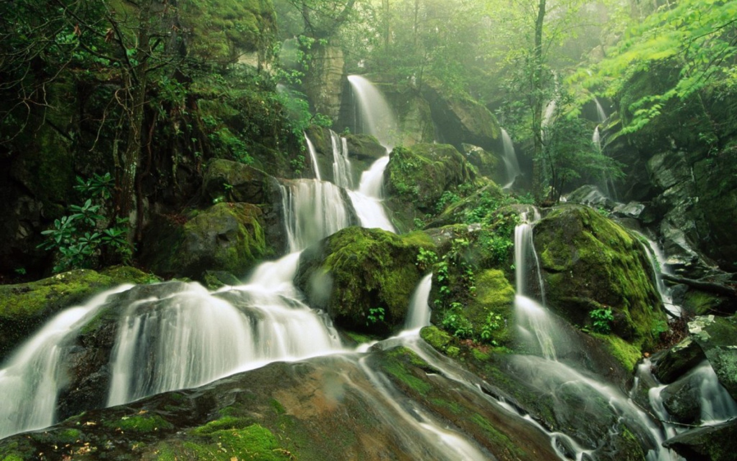 Sfondi Tropical Forest Waterfall 1440x900