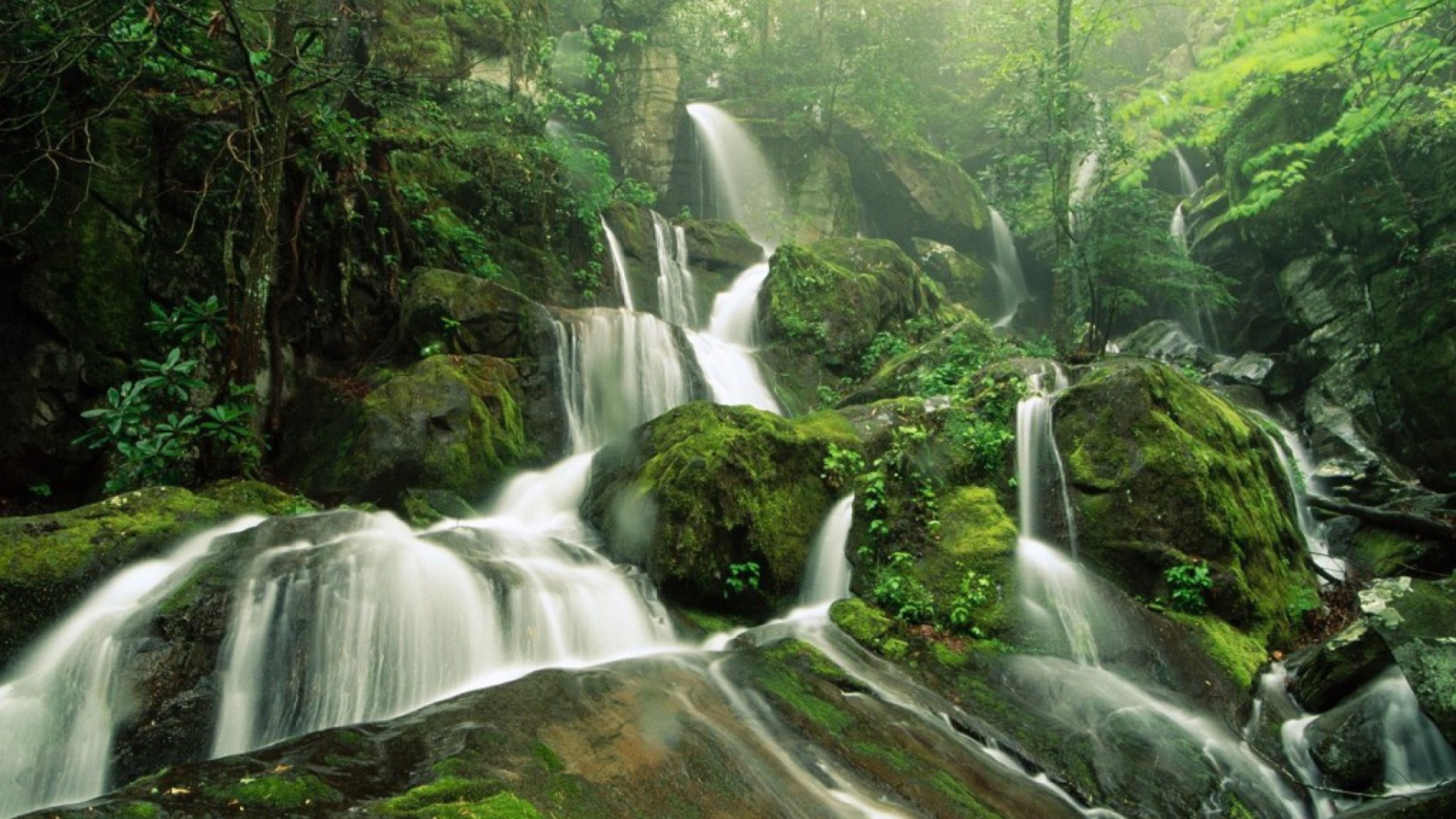Sfondi Tropical Forest Waterfall 1600x900