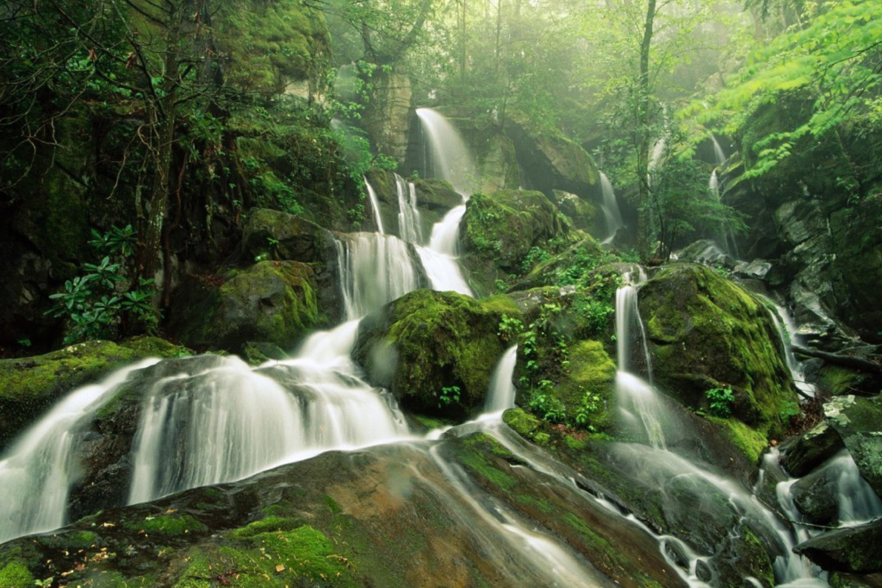 Screenshot №1 pro téma Tropical Forest Waterfall 2880x1920