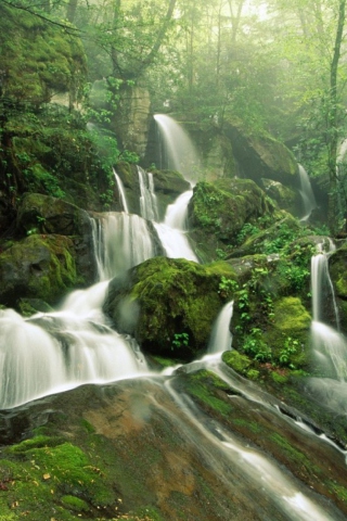 Обои Tropical Forest Waterfall 320x480