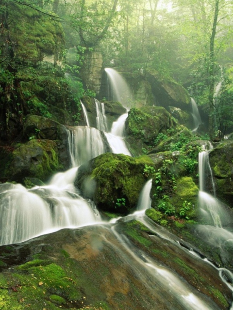 Обои Tropical Forest Waterfall 480x640