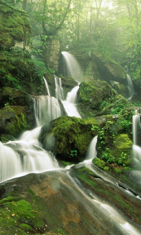Fondo de pantalla Tropical Forest Waterfall 480x800