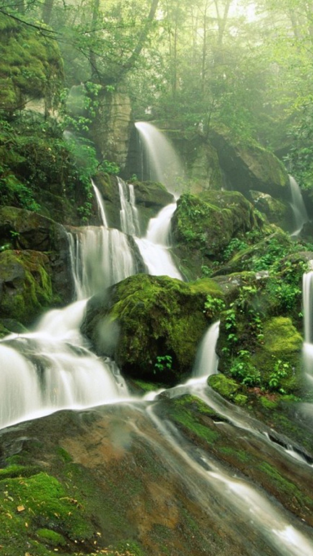 Fondo de pantalla Tropical Forest Waterfall 640x1136