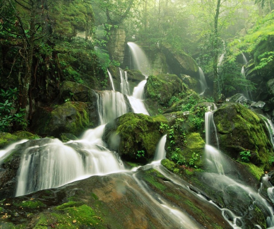 Обои Tropical Forest Waterfall 960x800