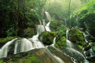 Kostenloses Tropical Forest Waterfall Wallpaper für 1280x720