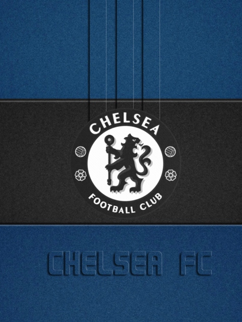Chelsea FC screenshot #1 480x640