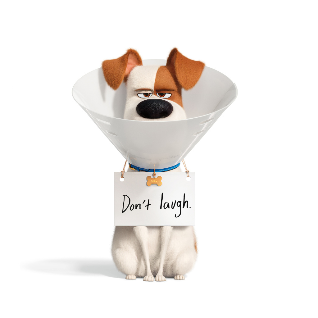 Das The Secret Life of Pets 2 Max Wallpaper 1024x1024