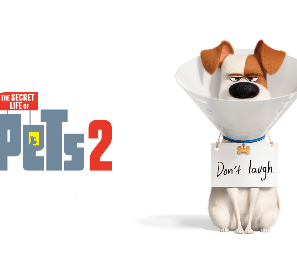 Fondo de pantalla The Secret Life of Pets 2 Max 960x854