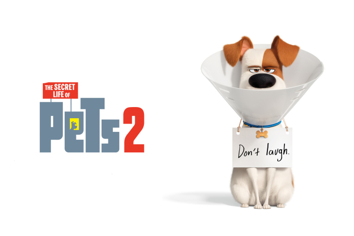 Das The Secret Life of Pets 2 Max Wallpaper