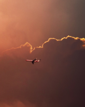 Airplane In Red Sky Above Clouds wallpaper 176x220