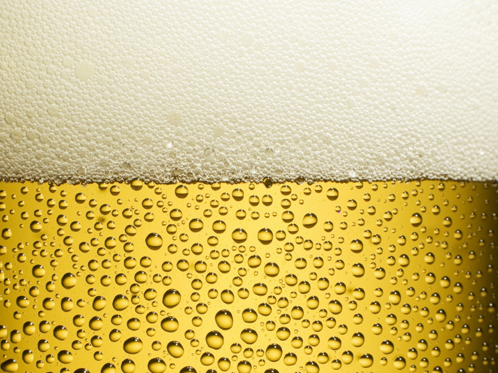 Fondo de pantalla Beer Foam 1600x1200