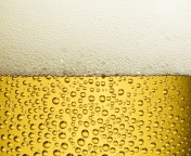 Das Beer Foam Wallpaper 176x144