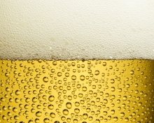Das Beer Foam Wallpaper 220x176