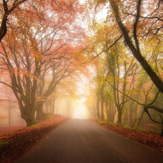 Foggy Road Background for iPad 2