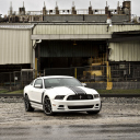 Обои Ford Mustang Boss 302 128x128