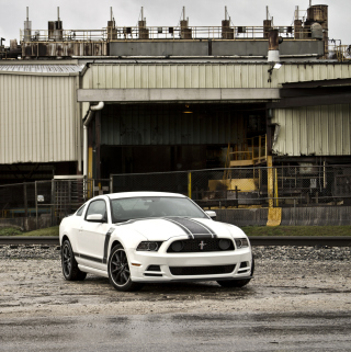 Free Ford Mustang Boss 302 Picture for 208x208