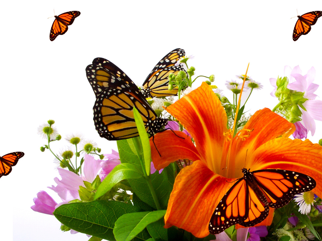 Screenshot №1 pro téma Lilies and orange butterflies 1024x768