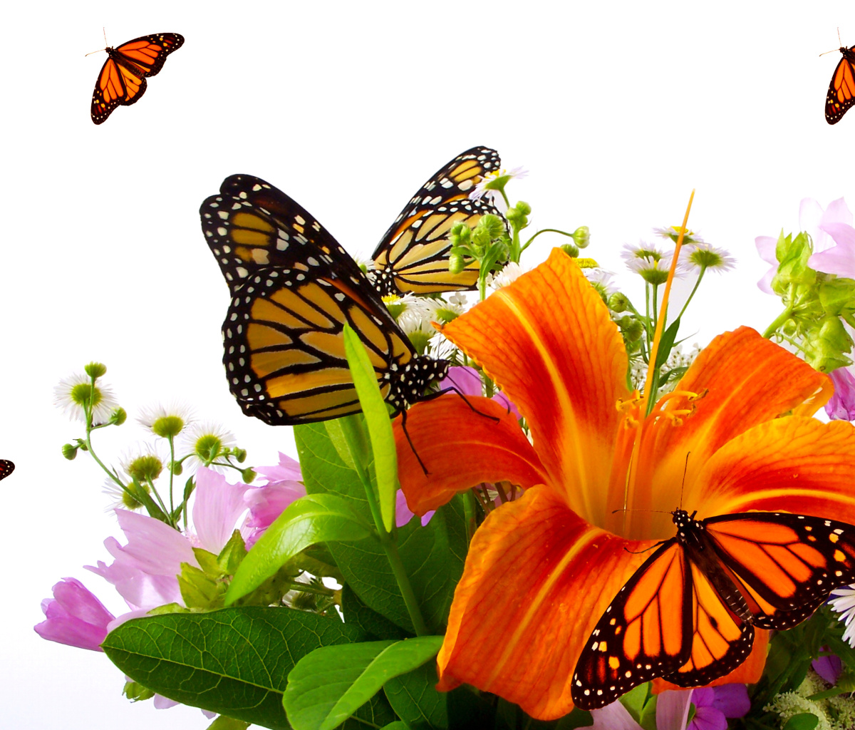 Обои Lilies and orange butterflies 1200x1024