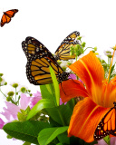 Обои Lilies and orange butterflies 128x160
