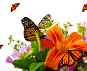 Screenshot №1 pro téma Lilies and orange butterflies 176x144