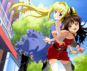 Mikan Yuuki and Konjiki no Yami from To Love Ru Anime wallpaper 176x144