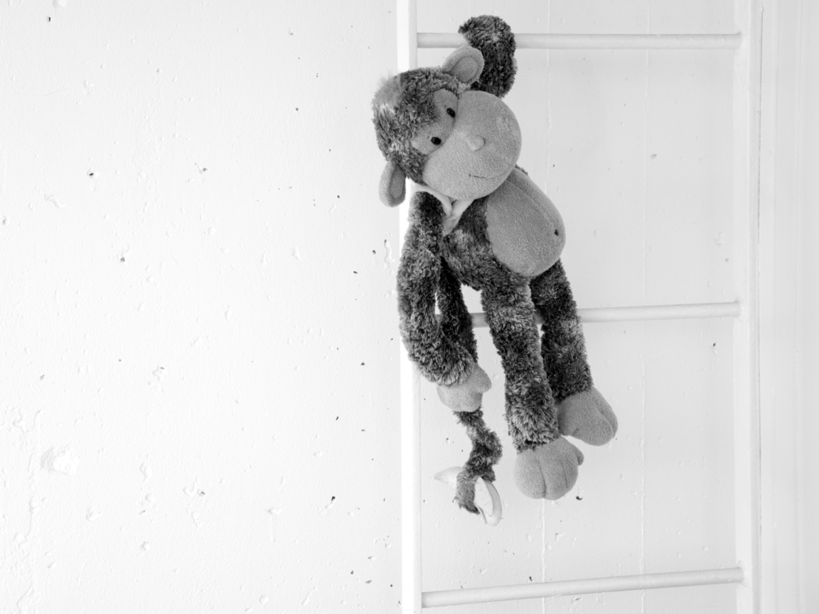 Das Monkey Toy Wallpaper 1152x864