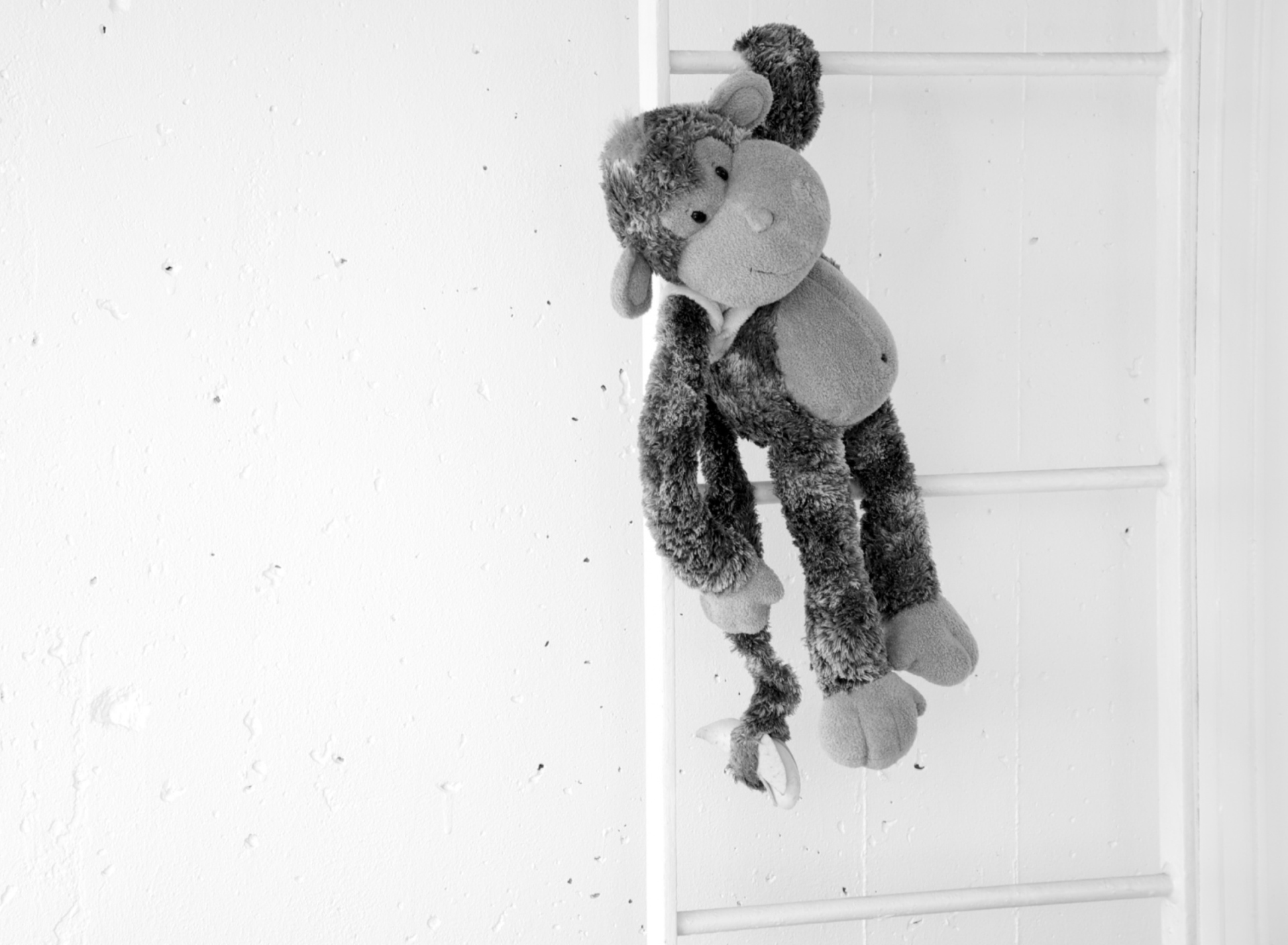 Sfondi Monkey Toy 1920x1408