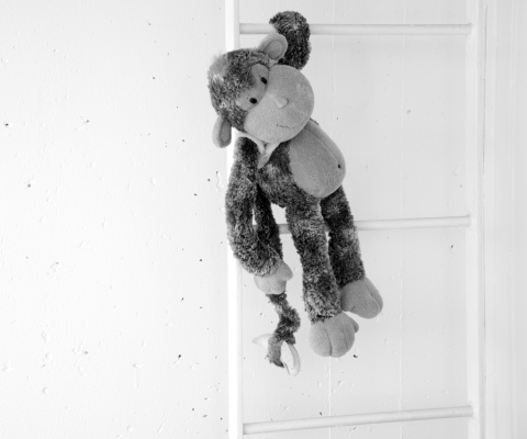 Monkey Toy wallpaper 480x400