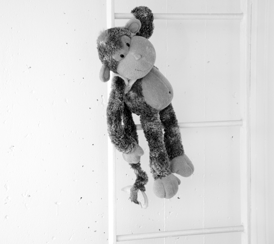 Monkey Toy wallpaper 960x854