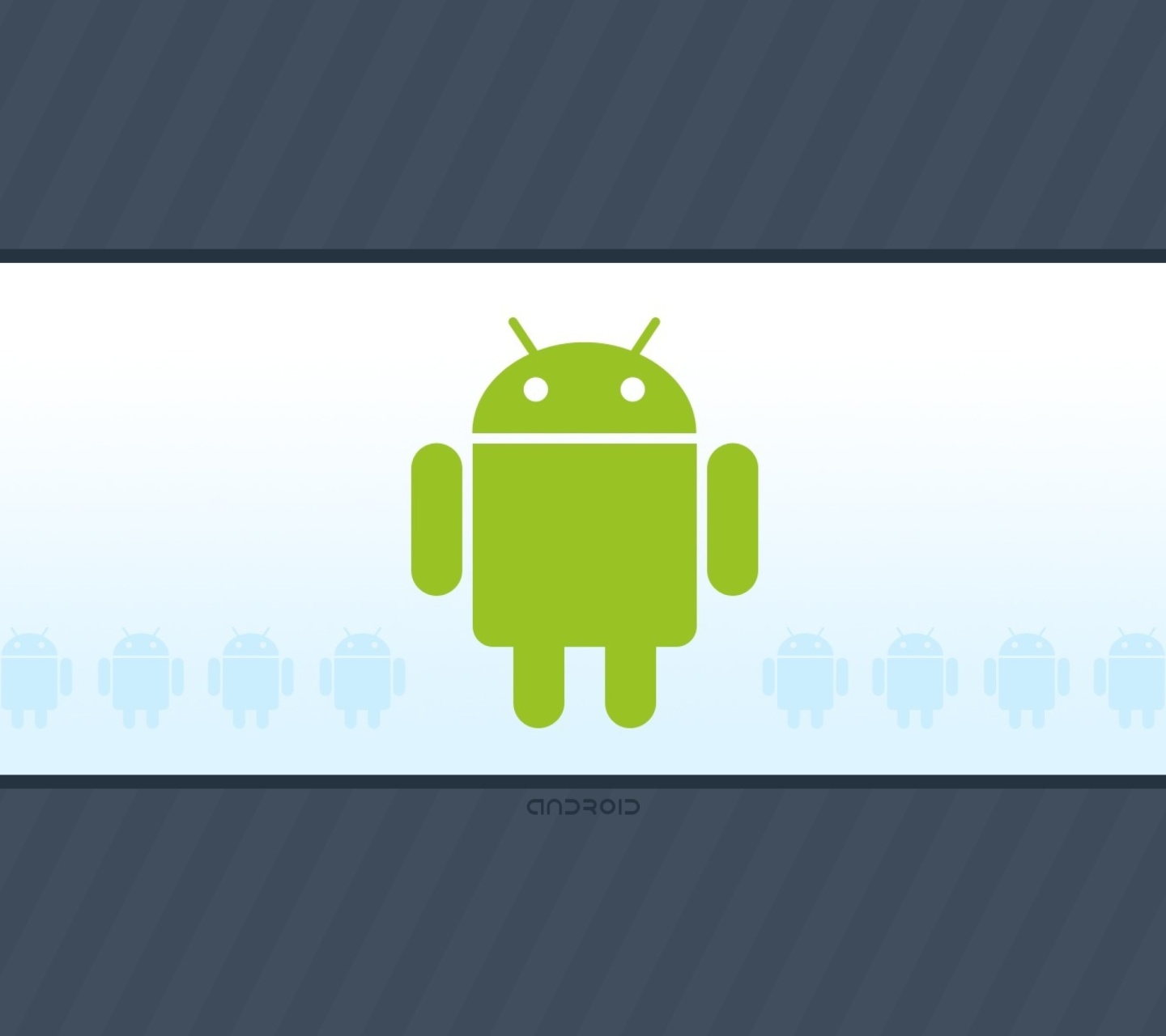 Das Android Phone Logo Wallpaper 1440x1280