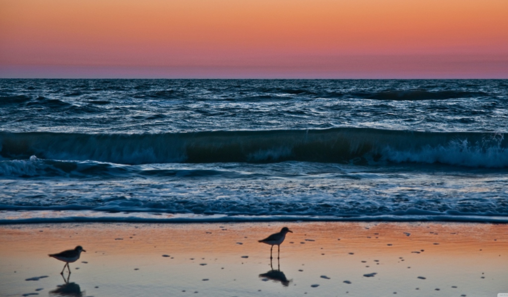 Sunset In Naples Florida wallpaper 1024x600