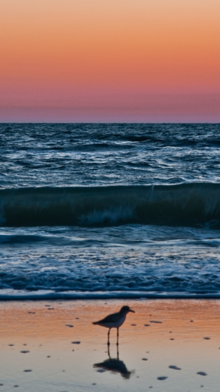 Fondo de pantalla Sunset In Naples Florida 750x1334