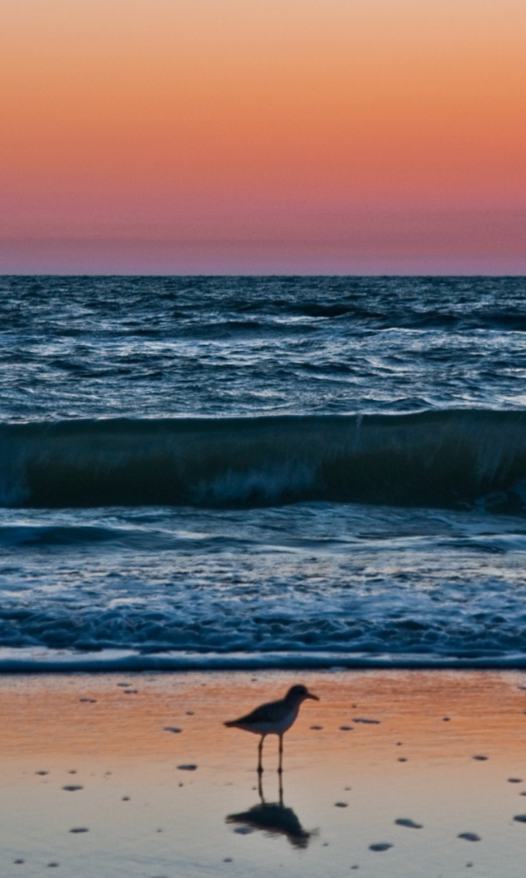 Das Sunset In Naples Florida Wallpaper 768x1280