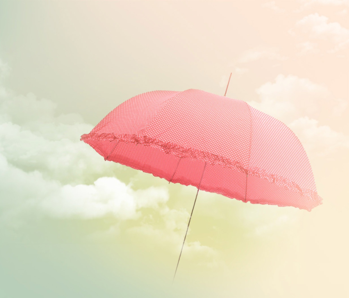 Das Pink Umbrella Wallpaper 1200x1024