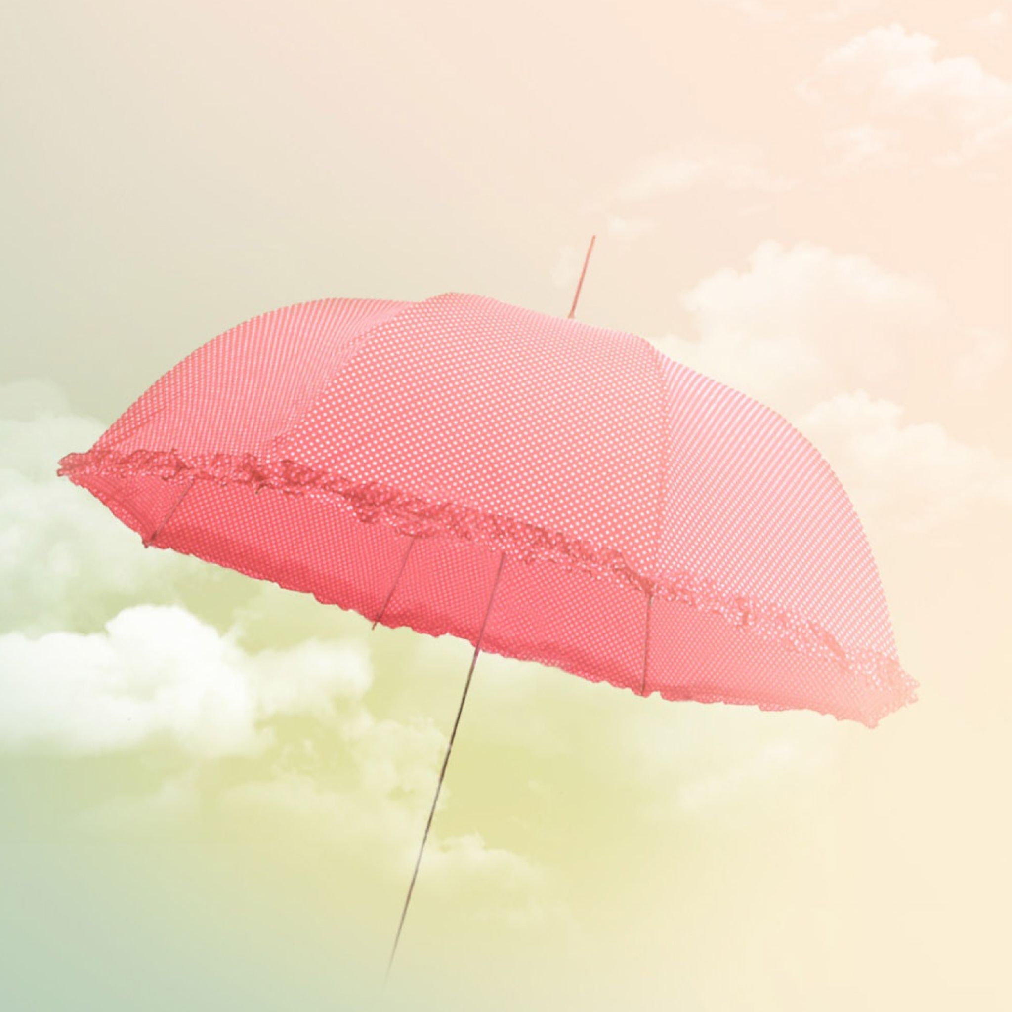 Pink Umbrella wallpaper 2048x2048