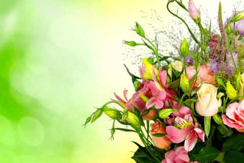 Screenshot №1 pro téma Calla Lily Bouquet 480x320