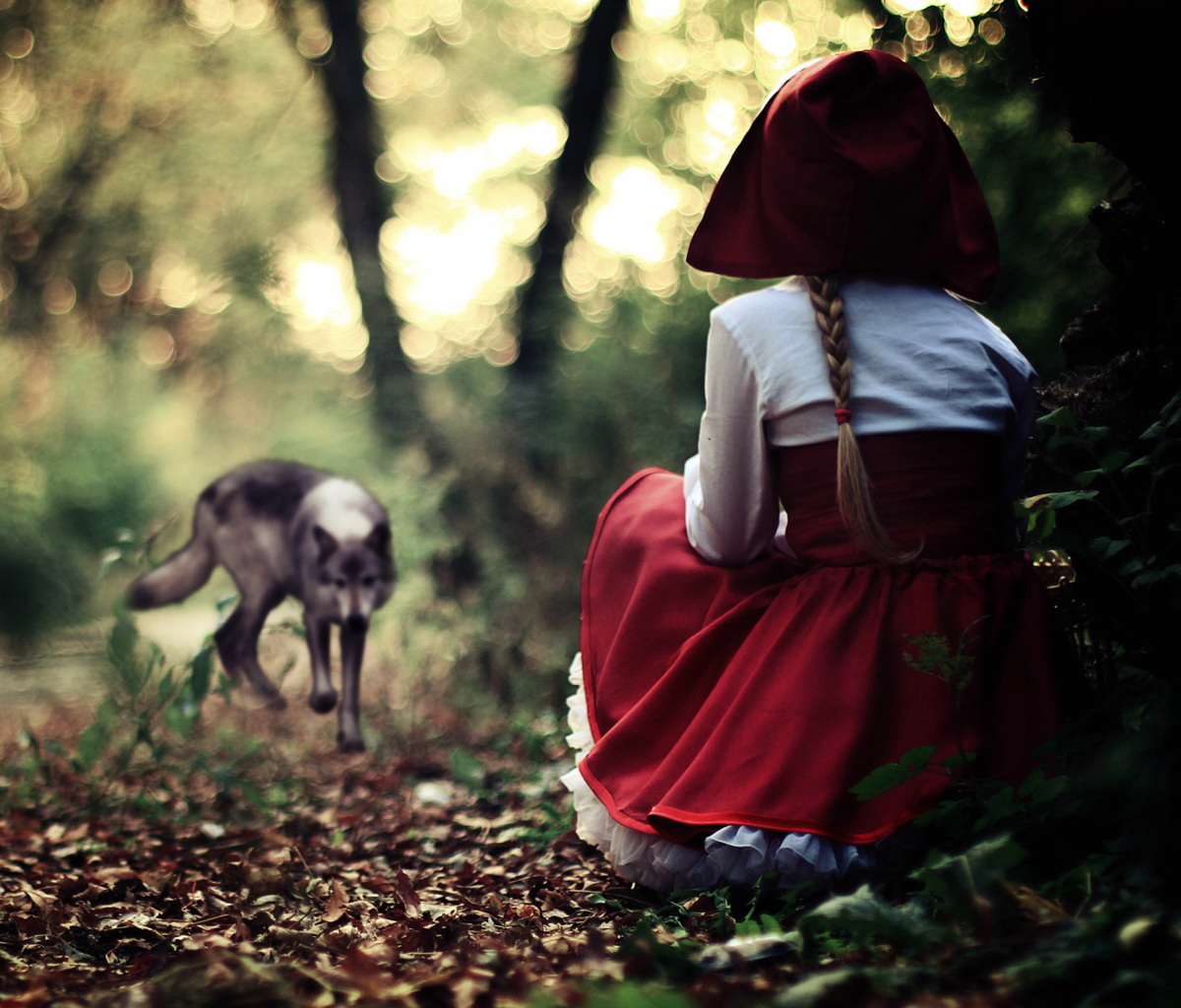 Das Red Riding Hood In Forest Wallpaper 1200x1024