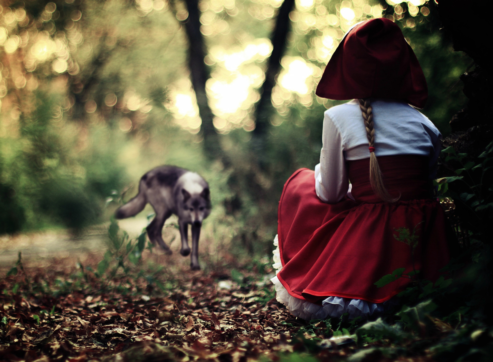 Red Riding Hood In Forest wallpaper 1920x1408