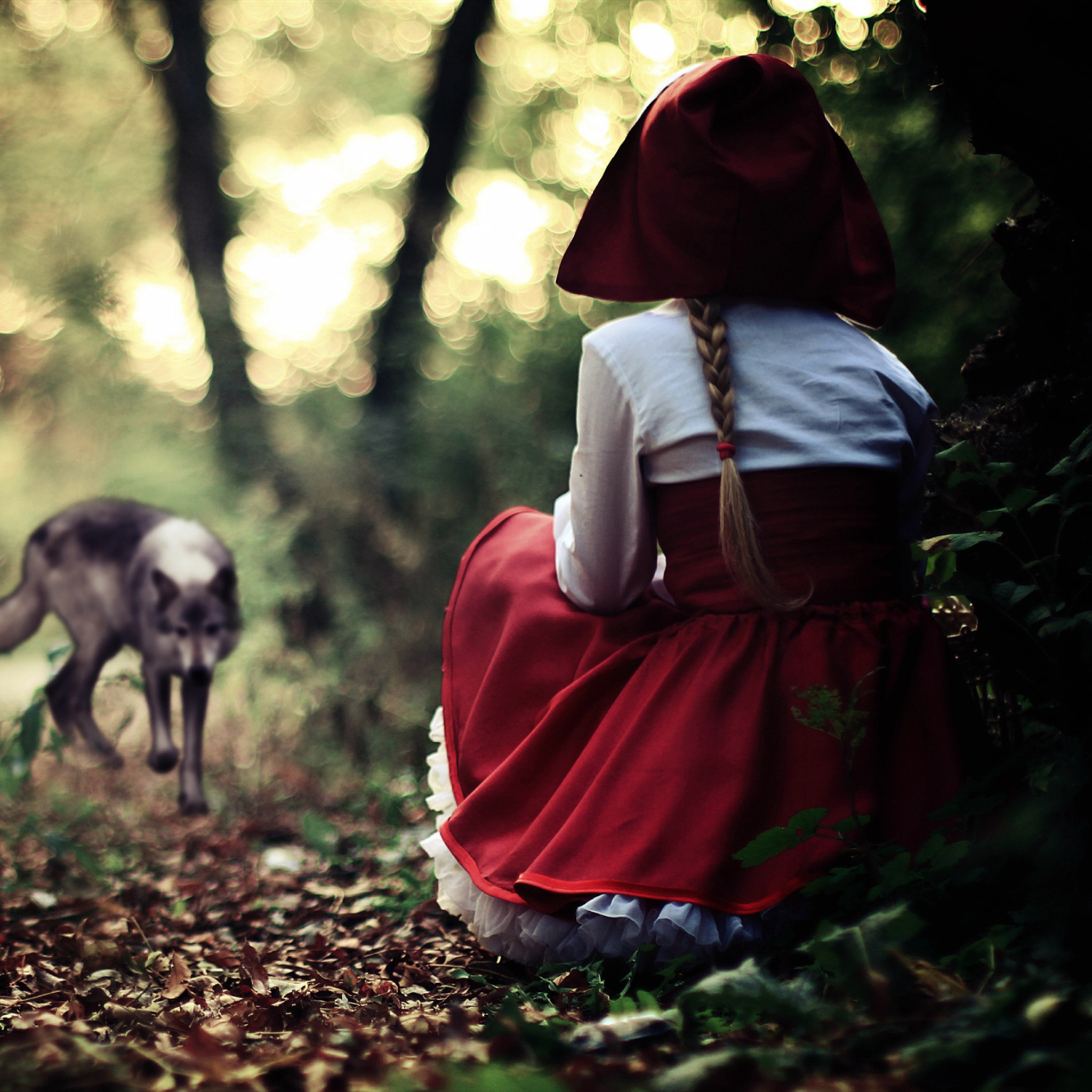 Red Riding Hood In Forest wallpaper 2048x2048