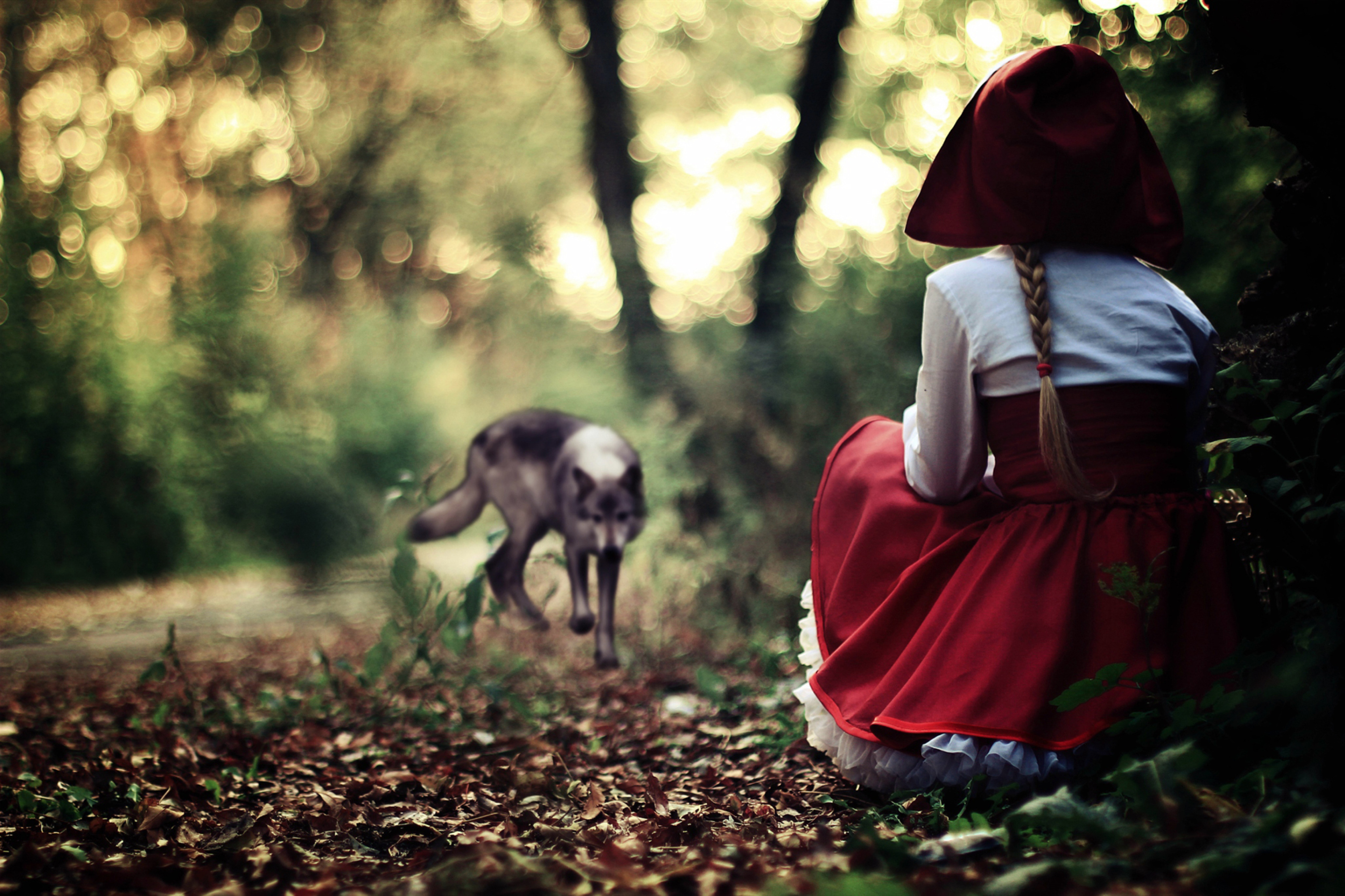 Red Riding Hood In Forest wallpaper 2880x1920