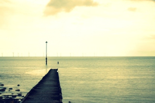 Free Lonely Landscape Picture for Android, iPhone and iPad