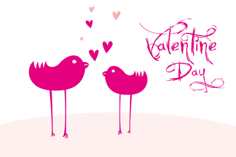 Das Birds And Valentines Day Wallpaper 480x320